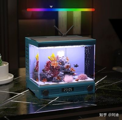 漢霸魚缸是怎樣的一款魚缸？：漢霸魚缸與其他品牌對比分析漢霸魚缸在市場上的位置 魚缸百科 第1張