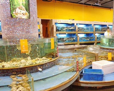 山西海之星水族工藝制品有限公司是一家專注于定制海鮮池魚缸的企業(yè)：山西海之星水族專注定制海鮮池魚缸 魚缸百科 第4張