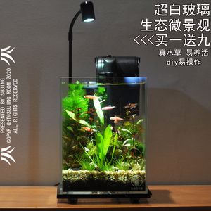 魚(yú)缸造景燈的種類與功能魚(yú)缸造景燈的種類與功能：如何選擇合適的水族箱造景燈 魚(yú)缸百科 第1張