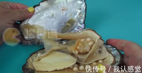 魚缸水質(zhì)管理的科學(xué)方法：河蚌魚缸水質(zhì)管理的方法 魚缸百科 第3張