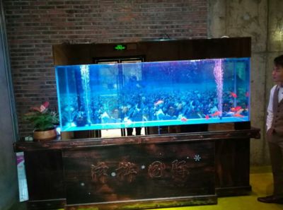 魚(yú)缸定做廠家招工：廣州水族文化探索廣州水族文化探索廣州魚(yú)缸定做廠家招工 魚(yú)缸百科 第3張