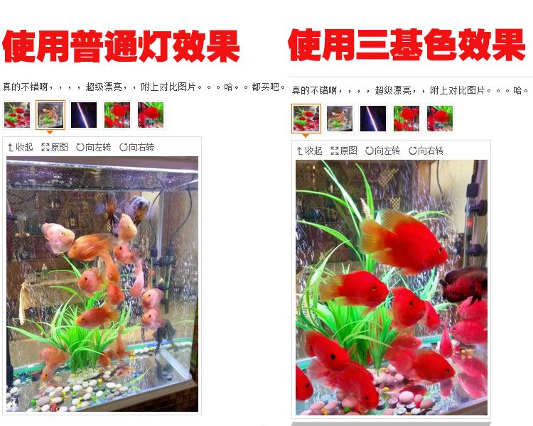 魚缸燈選購指南：紅色魚缸燈安裝魚缸燈的選購指南魚缸燈的選購指南 魚缸百科 第2張