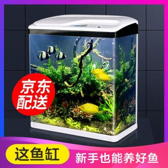 魚缸使用壽命的秘密：浮法玻璃魚缸使用壽命的秘密 魚缸百科 第3張