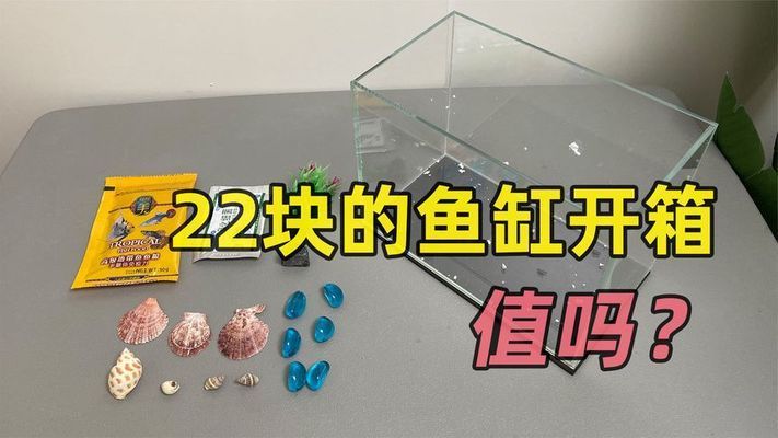 魚缸diy改造指南，為家增添一份自然的氣息嗎：各種魚缸價格一樣嗎？ 魚缸百科 第1張