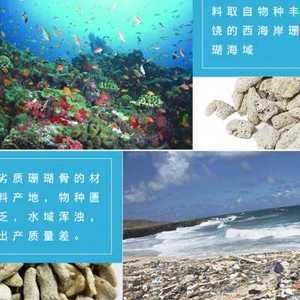 魚缸定做服務(wù)的店鋪：水族工程公司水族工程水族館：在海城提供魚缸定做服務(wù)的店鋪 魚缸百科 第3張