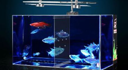 魚缸定做服務(wù)的店鋪：水族工程公司水族工程水族館：在海城提供魚缸定做服務(wù)的店鋪 魚缸百科 第2張