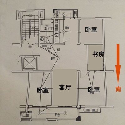 房子朝南魚缸放哪邊：房子朝南時(shí)魚缸擺放位置 魚缸百科 第3張