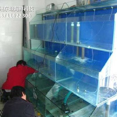 廣州魚(yú)缸制作廠家有哪些？：廣州市豐冀機(jī)電設(shè)備魚(yú)缸制作廠家排行榜和專(zhuān)業(yè)公司的評(píng)價(jià) 魚(yú)缸百科 第3張