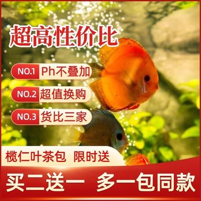 魚缸水質(zhì)管理的全面指南：橄欖葉在魚缸中的使用方法 魚缸百科 第2張