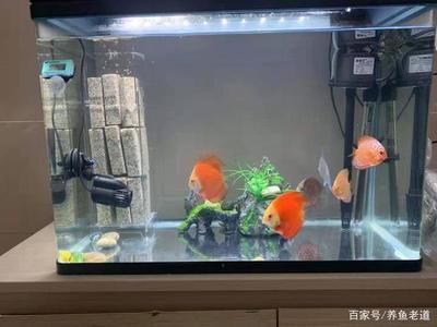 方形小魚缸怎樣開缸和造景的信息對您有所幫助：方形小魚缸怎樣開缸和造景 魚缸百科 第3張