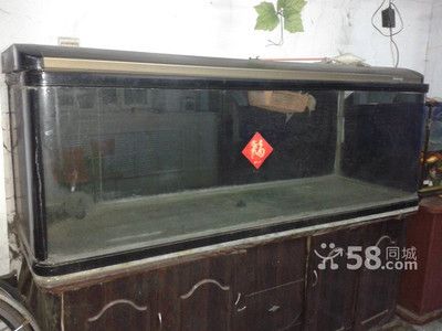 如何挑選二手魚缸？：哈爾濱二手魚缸交易