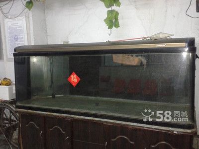 如何挑選二手魚缸？：哈爾濱二手魚缸交易