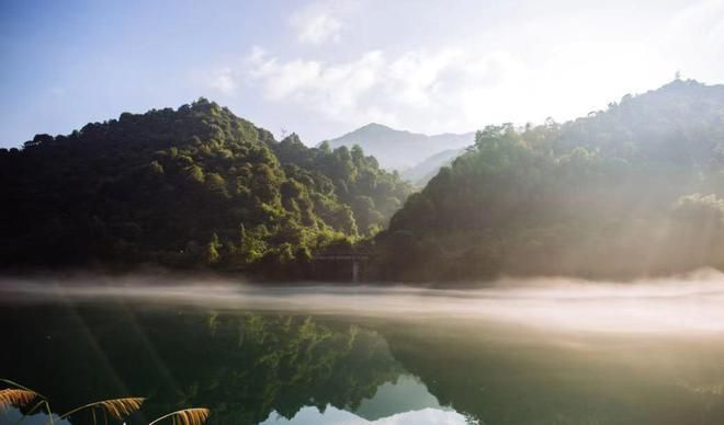 房間放置小魚缸的風(fēng)水講究：臥室養(yǎng)魚的利弊分析 魚缸百科 第3張