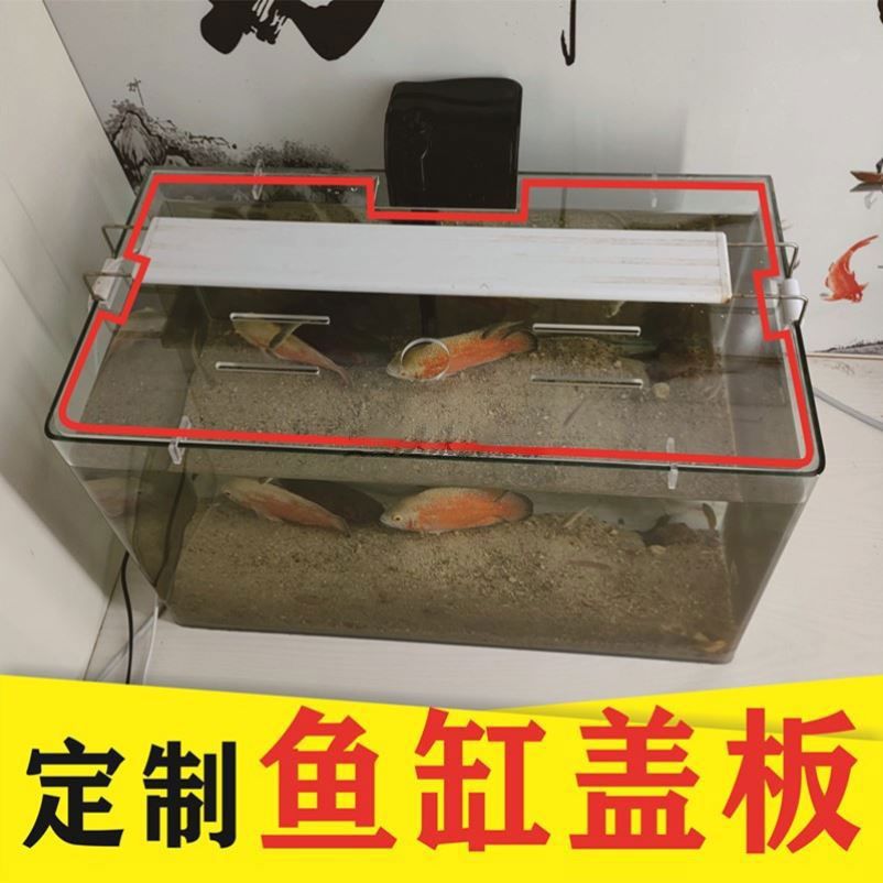 diy魚缸蓋設(shè)計(jì)原則diy魚缸蓋的設(shè)計(jì)原則diy魚缸蓋的設(shè)計(jì)原則：diy魚缸蓋的注意事項(xiàng) 魚缸百科 第4張