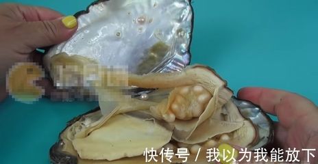 魚缸養(yǎng)河蚌需要注意換水和防治寄生蟲等水質(zhì)管理技巧：如何科學(xué)養(yǎng)河蚌