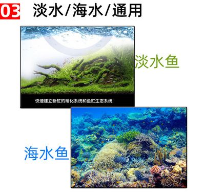 淡水魚缸生態(tài)系統(tǒng)的構(gòu)成：如何維護淡水魚缸生態(tài)系統(tǒng) 魚缸百科 第2張