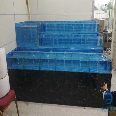 海鮮池魚缸定做服務：成都洺仕水族用品有限公司 魚缸百科 第4張