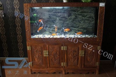 海納利爾魚(yú)缸是否提供開(kāi)氧功能或者具體購(gòu)買地點(diǎn)的信息：海納利爾魚(yú)缸是否提供開(kāi)氧功能 魚(yú)缸百科 第4張