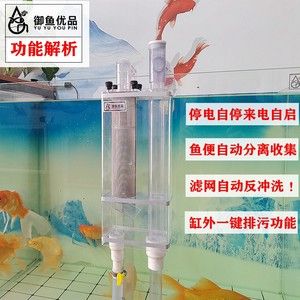 魚缸糞便吸不干凈怎么辦？：底濾魚缸糞便吸不干凈可能導(dǎo)致糞便吸不干凈的原因 魚缸百科 第3張