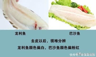 巴沙魚和龍利魚的區(qū)別巴沙魚和龍利魚的形狀有所不同：如何辨別巴沙魚和龍利魚？