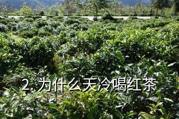 紅茶茶葉可以倒入魚缸里嗎：普洱茶養(yǎng)魚好嗎紅茶茶葉可以倒在魚缸里嗎