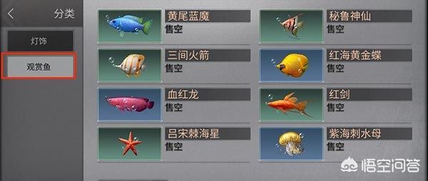 紅海魚缸適合養(yǎng)淡水魚嗎？：紅海魚缸是否適合養(yǎng)淡水魚取決于多個因素