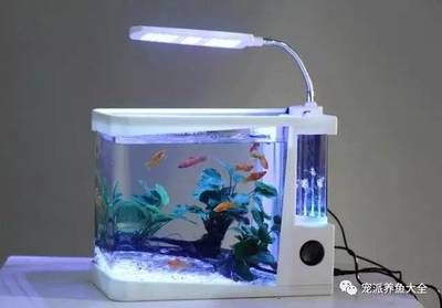 非凡水族魚缸怎么安裝視頻魚缸安裝常見誤區(qū)新手可能會(huì)犯：非凡水族魚缸怎么安裝