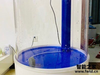 底濾魚缸哪個牌子好：2018年度魚缸底濾魚缸品牌底濾魚缸品牌推薦