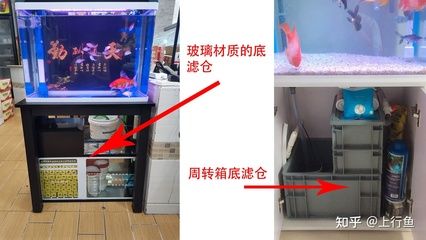 魚缸清洗底濾清洗底濾清洗魚缸的清潔誤區(qū)有哪些：如何正確清洗底濾魚缸 魚缸百科 第1張