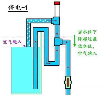 底濾魚缸維修指南：底濾魚缸溢水可能由以下幾個(gè)原因引起：底濾魚缸溢水 魚缸百科 第1張