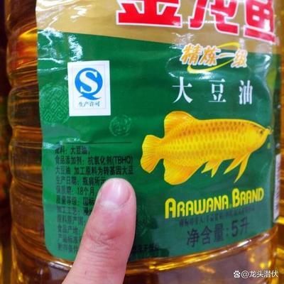 巴雷特金龍魚的價(jià)格：巴雷特金龍魚價(jià)格