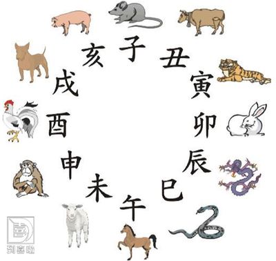 生肖鼠和生肖馬的人適合養(yǎng)龍魚，并不是所有人都適合養(yǎng)龍魚：什么屬相的人不能養(yǎng)龍魚？