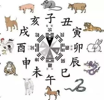 生肖鼠和生肖馬的人適合養(yǎng)龍魚，并不是所有人都適合養(yǎng)龍魚：什么屬相的人不能養(yǎng)龍魚？ 龍魚百科 第2張