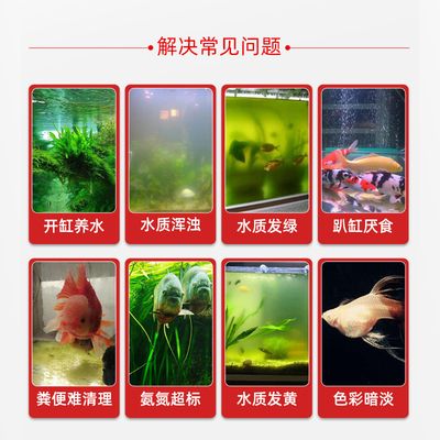 觀賞魚(yú)缸水質(zhì)發(fā)黃但清澈是正常的嗎？：觀賞魚(yú)缸水質(zhì)發(fā)黃但清澈可能有多種原因有些是正常的