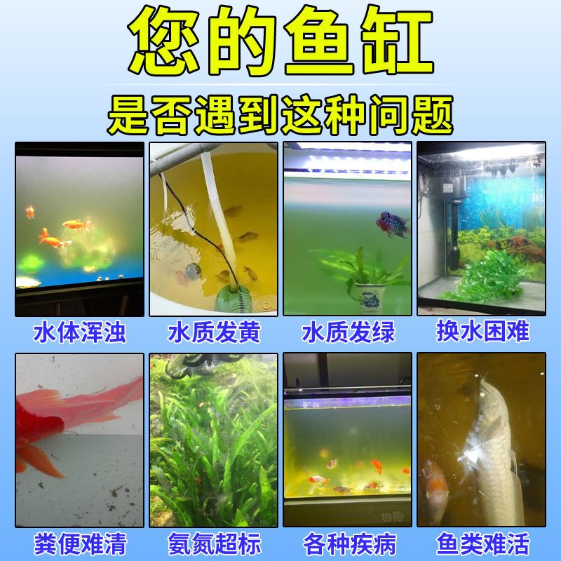 觀賞魚(yú)缸水質(zhì)發(fā)黃但清澈是正常的嗎？：觀賞魚(yú)缸水質(zhì)發(fā)黃但清澈可能有多種原因有些是正常的