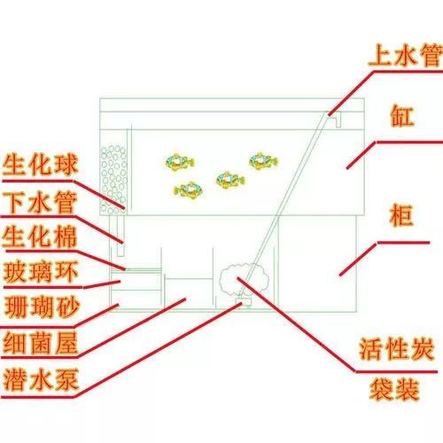 魚缸濾材擺放順序：底濾魚缸濾材擺放順序?qū)τ陴B(yǎng)魚愛好者來說是一項必不可少的任務