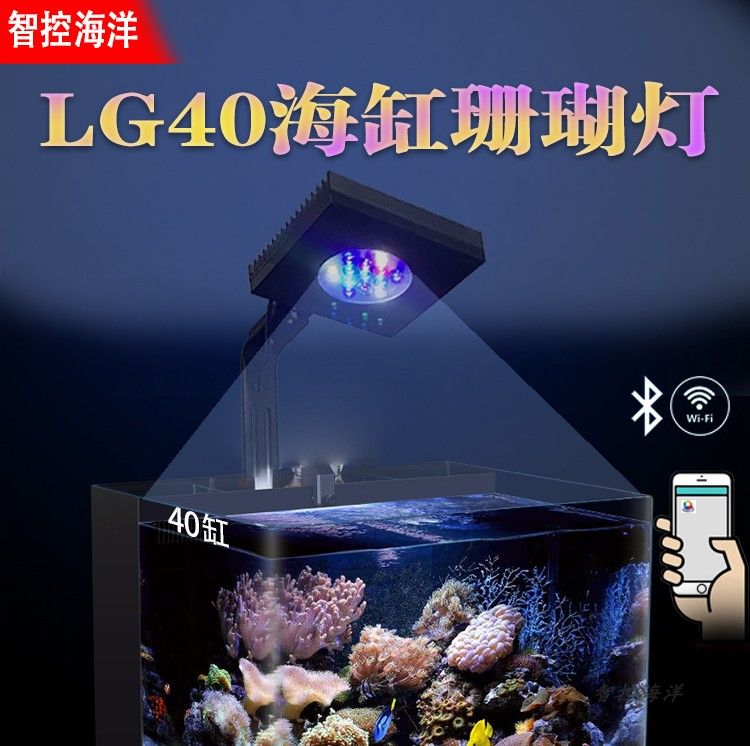 2024年海水魚缸品牌排名：高品質(zhì)魚缸挑選高品質(zhì)魚缸：2024年海水魚缸品牌排名