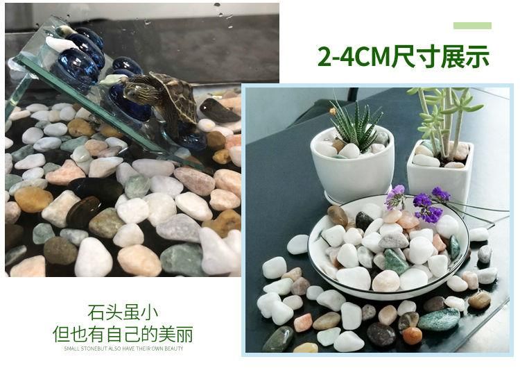 魚缸石頭怎么清洗魚缸石頭消毒魚缸裝飾石處理：28篇魚缸石頭清洗魚缸石頭處理方法魚缸石頭處理方法 魚缸百科 第3張