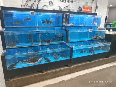 海鮮池魚缸制作視頻教程和技巧和注意事項(xiàng)：海鮮池魚缸制作過(guò)程和技巧：diy海鮮池魚缸制作視頻教程 魚缸百科 第1張