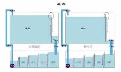 底濾魚缸過濾系統(tǒng)擺放生化棉和白棉的擺放順序誰懂：底濾魚缸生化棉和白棉的作用 魚缸百科 第4張