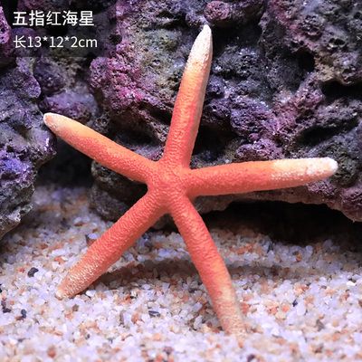 紅海魚缸造景指南：紅海魚缸造景指南：紅海魚缸造景指南：紅海魚缸如何造景 魚缸百科 第1張