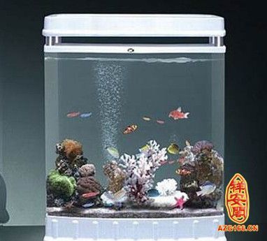 風(fēng)水魚缸的選擇：風(fēng)水魚缸擺放位置 ,圓形魚缸五行屬水同樣屬性