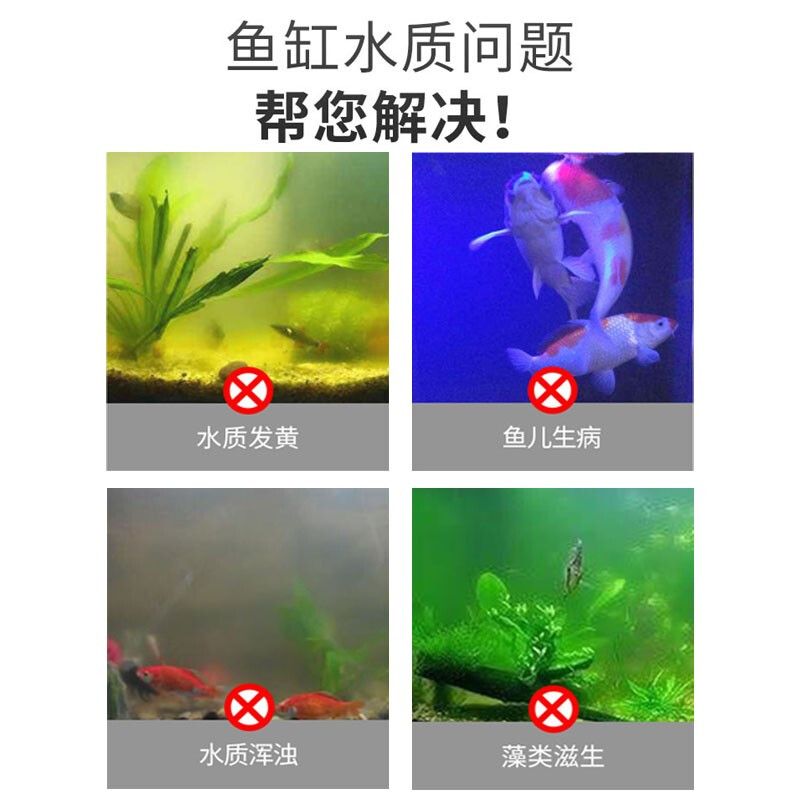 魚缸自然光消毒方法：自然光殺菌的秘密 魚缸百科 第2張