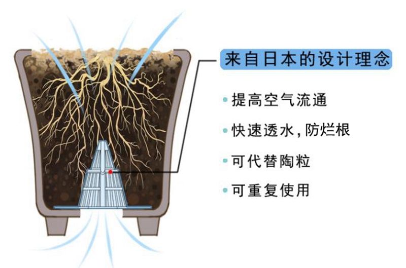 花盆改魚缸的藝術(shù)之旅：diy魚缸的藝術(shù)之旅