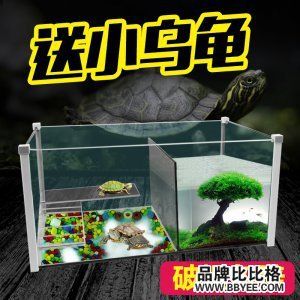 魚缸品牌排行榜：2024年國內(nèi)最好的魚缸品牌排行榜前十名：水族箱 魚缸百科 第1張