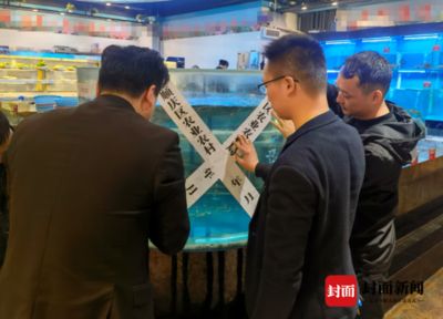 廣漢魚缸定制店怎么找：廣漢魚缸定制店 魚缸百科 第1張