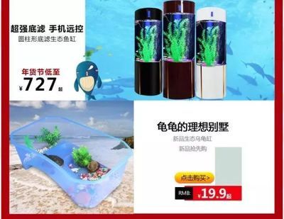 魚缸水質(zhì)管理的重要性：魚缸換水的科學(xué)依據(jù) 魚缸百科 第3張