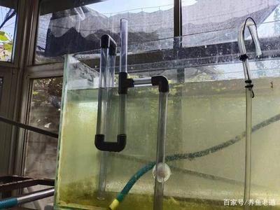 魚缸下水管堵了怎么辦：底濾魚缸下水管堵了怎么辦？ 魚缸百科 第3張