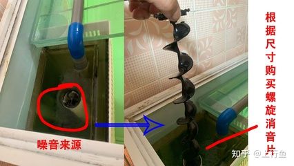 底濾魚缸下水堵塞怎么辦：養(yǎng)魚新手入門指南：底濾魚缸下水堵塞問題解決方法 魚缸百科 第4張