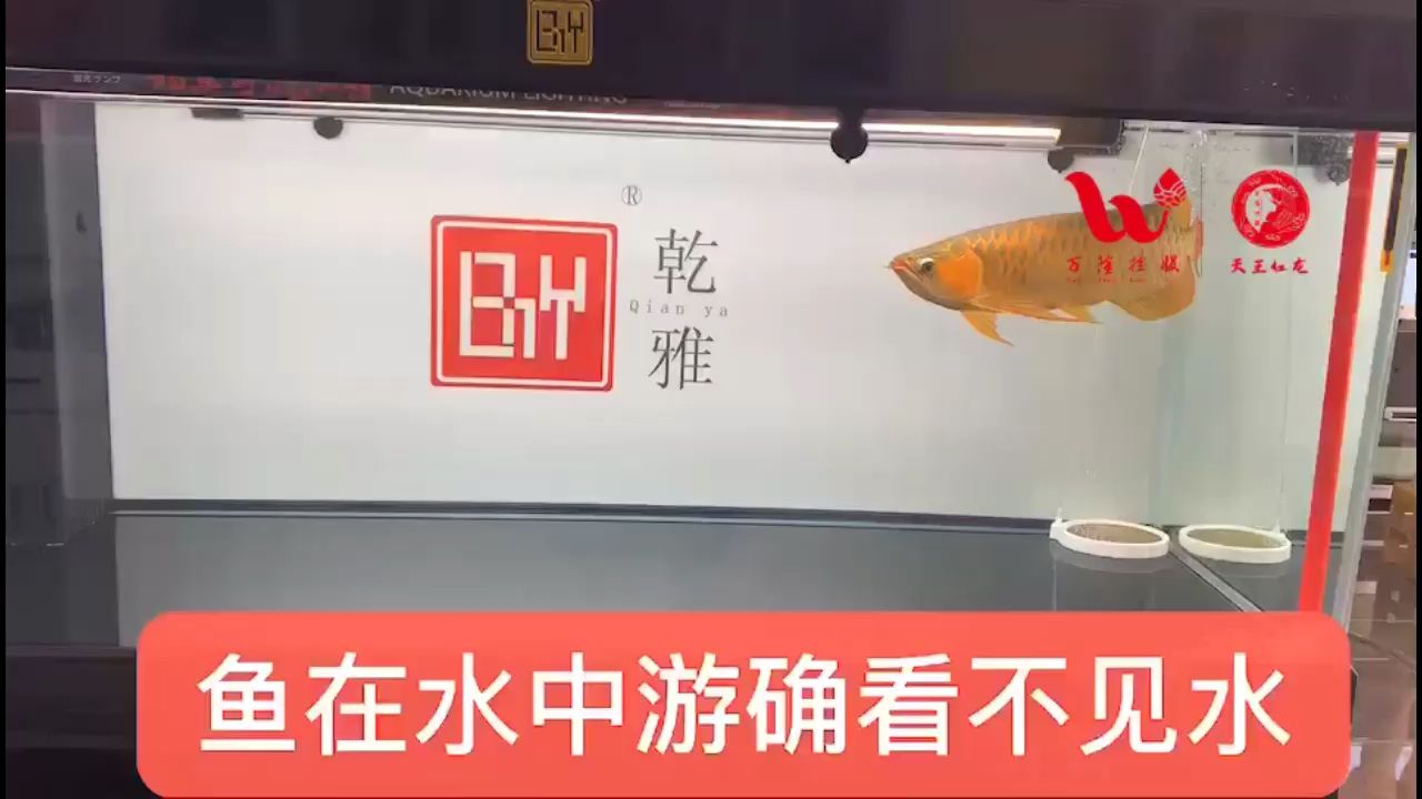 觀賞魚缸加盟店選擇：杭州搏鰲水族工程有限公司 魚缸百科